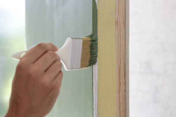 Professional Mold Removal in Central Heights Midland City, AZ