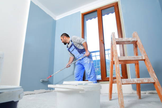 Best Black Mold Removal  in Central Heights Midland City, AZ