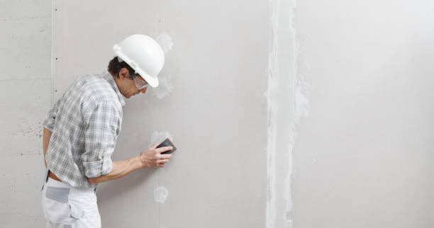 Environmental Consulting for Mold Prevention in Central Heights Midland City, AZ