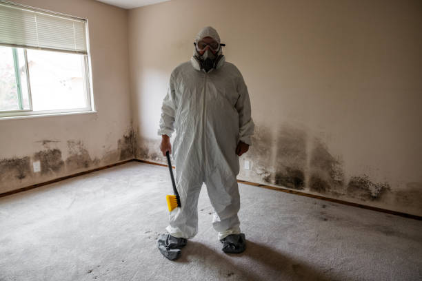 Best Comprehensive Air Testing for Mold Contaminants  in Central Heights Midland City, AZ